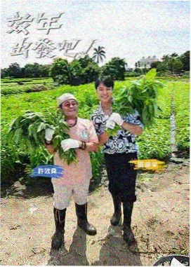 推理社团 悬疑推理综艺在线观看